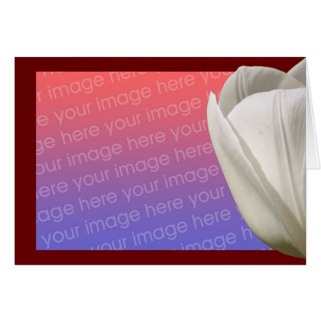 白いチューリップフラワーフォトカード (正面横)
