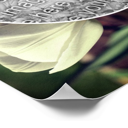 白いチューリップフラワーフレーム自分の写真を作成 ポスター (角)