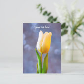 白いチューリップポストカード シーズンポストカード (スタンド正面)