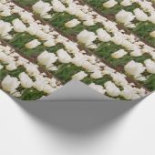 白いチューリップ花 ラッピングペーパー (角)