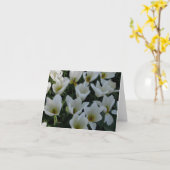 白いチューリップ カード (黄色い花)