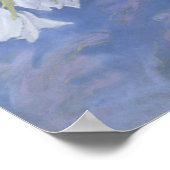 白いチューリップ ポスター (角)