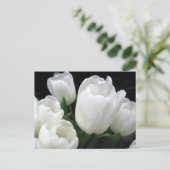 白いチューリップ ポストカード (スタンド正面)