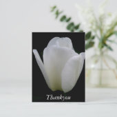 白いチューリップ ポストカード (スタンド正面)