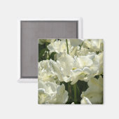 白いチューリップ マグネット (正面/裏面)