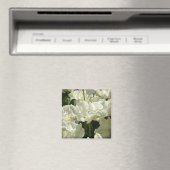 白いチューリップ マグネット (インサイチュ (食洗機))