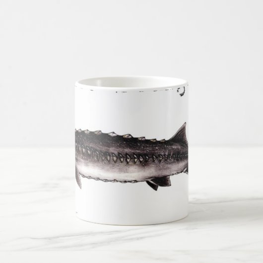 白いチョウザメは項目にタイトルを付けました コーヒーマグカップ (中央)