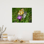 白いチョウチョウのポスター ポスター (キッチン)