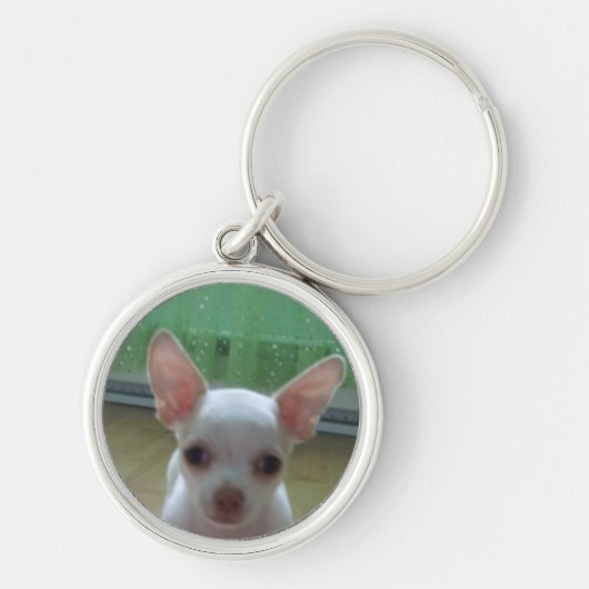 白いチワワの子犬Keychain キーホルダー (正面)