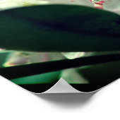 白いツツツジの雨粒の花 ポスター (角)