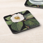 白いツバキ コースター (左側)