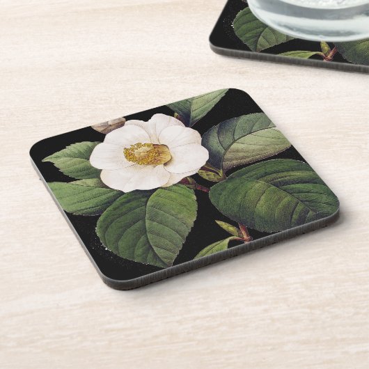 白いツバキ コースター (左側)