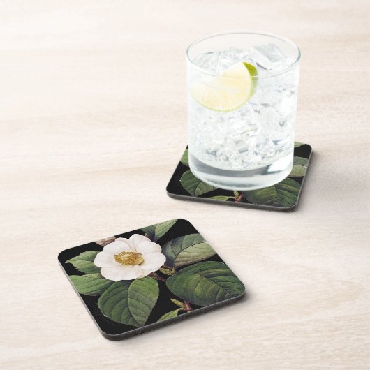 白いツバキ コースター (右側)