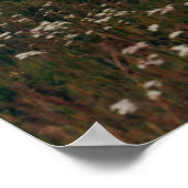 白いデイジーと紫のFireweed Mountains写真 ポスター (角)