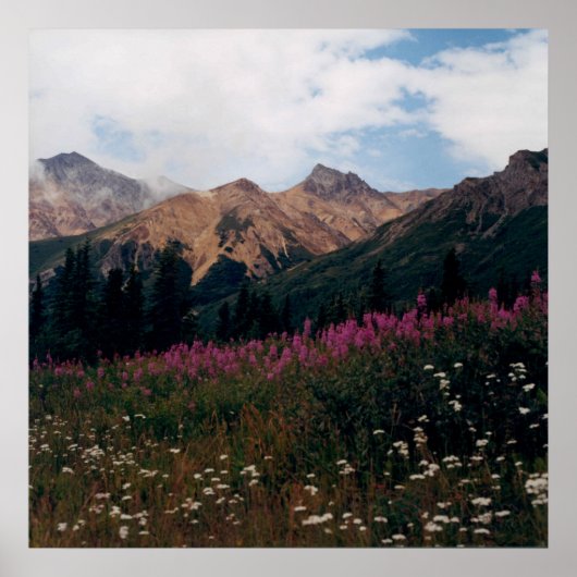 白いデイジーと紫のFireweed Mountains写真 ポスター (正面)