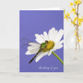 白いデイジーのトンボ カード (黄色い花)