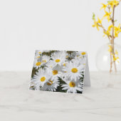 白いデイジーの分野 カード (黄色い花)