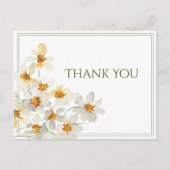 白いデイジーの水彩画 ありがとうポストカード 予算対応 ポストカード (正面)