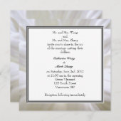 白いデイジーの花のウェディング 招待状 (正面/裏面)