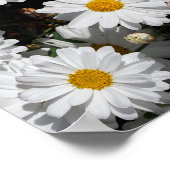 白いデイジーの花のクローズアップ ポスター (角)