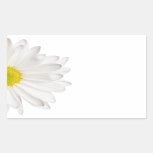 白いデイジーの花の背景によってカスタマイズデイジー 長方形シール