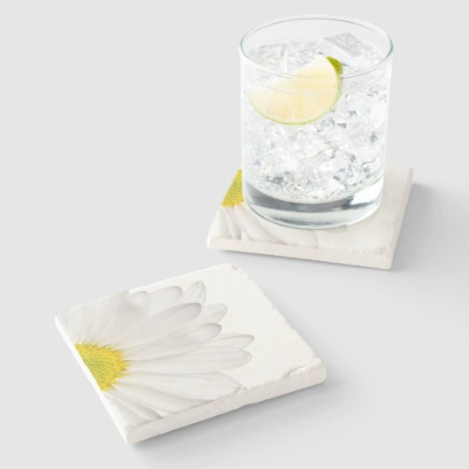 白いデイジーの花の花のデイジーの花 ストーンコースター (横)