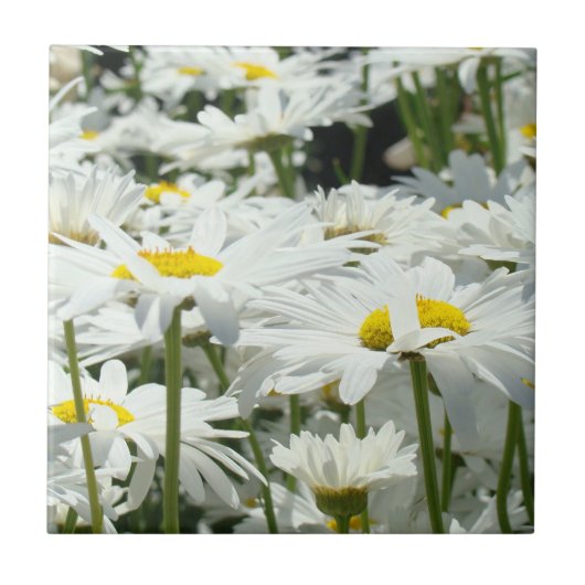 白いデイジーの花 タイルアート ホームデコレーション タイル (正面)