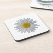 白いデイジーの花、咲くデイジー、開花、花 コースター (左側)
