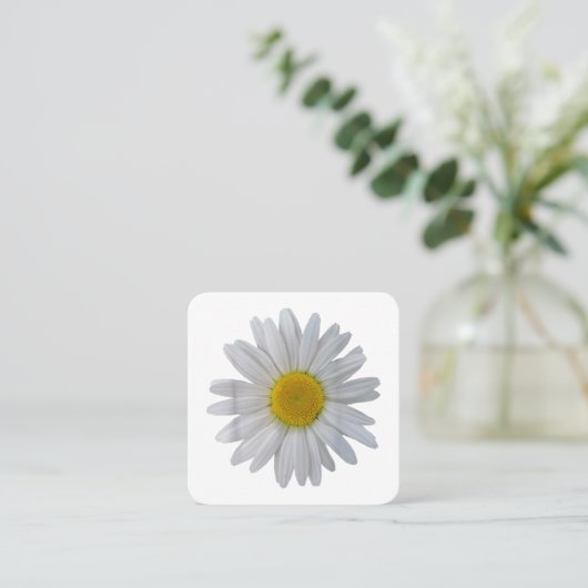白いデイジーの花、咲くデイジー、開花、花 スクエア名刺 (スタンド正面)