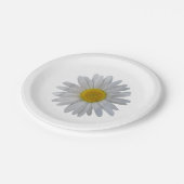 白いデイジーの花、咲くデイジー、開花、花 ペーパープレート (アングル)