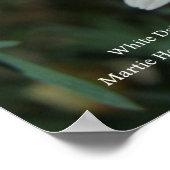 白いデイジープリント – フレームを選択 ポスター (角)