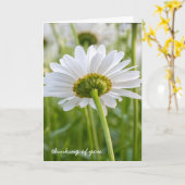 白いデイジー考えるの カード (黄色い花)