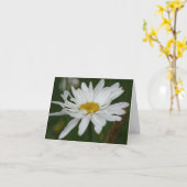 白いデイジー花の写真ノート カード (黄色い花)