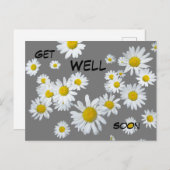 白いデイジー カスタム カラー すぐによくなってね ポストカード (正面/裏面)