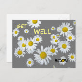 白いデイジー カスタム カラー 2 すぐに回復する ポストカード (正面/裏面)
