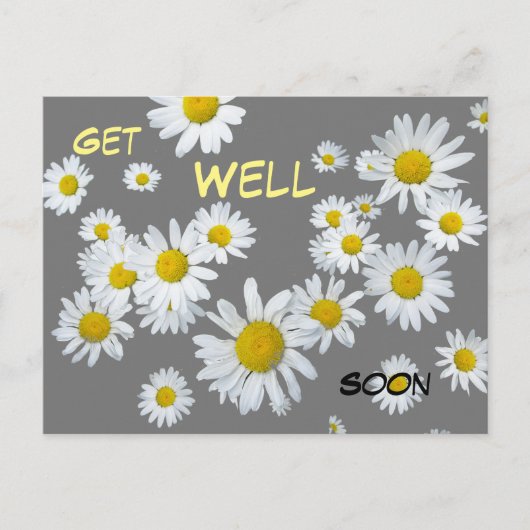 白いデイジー カスタム カラー 2 すぐに回復する ポストカード (正面)