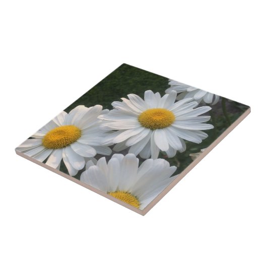 白いデイジー タイル (側面)