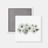 白いデイジー マグネット (正面/裏面)
