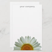 白いデイジー 便箋 (正面/裏面)
