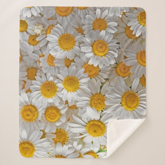 白いデイジー：美しいフローラ背景 シェルパブランケット (正面)