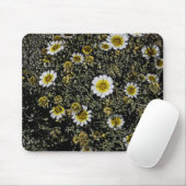 白いデイジー、黄色の中心/デジタル効果/写真 マウスパッド (マウス)