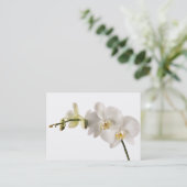 白いデンドロビウムの蘭の花のスプレーの花柄のブランク 名刺 (スタンド正面)