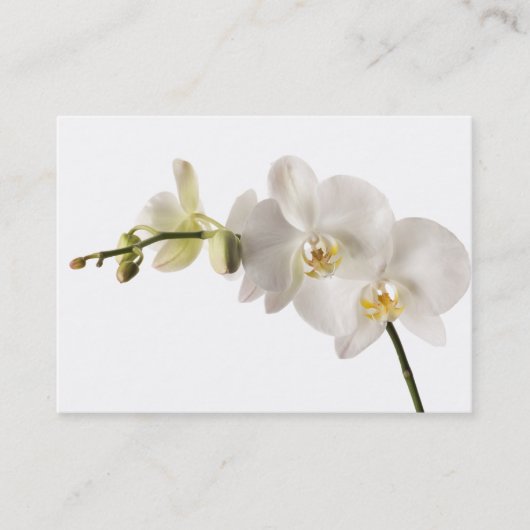 白いデンドロビウムの蘭の花のスプレーの花柄のブランク 名刺 (正面)