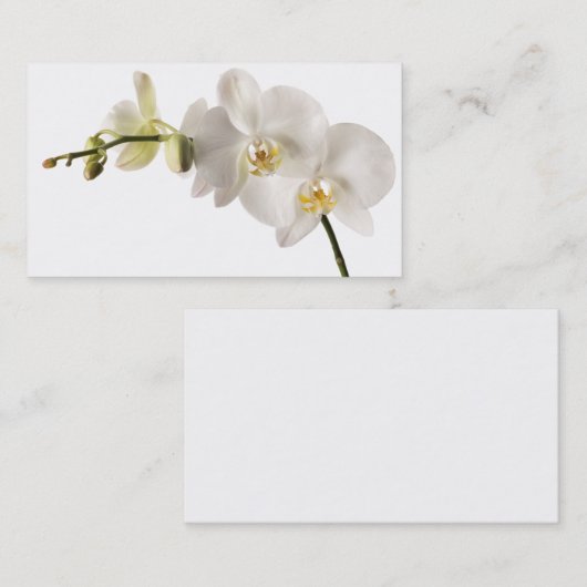 白いデンドロビウムの蘭の花のスプレーの花柄のブランク 名刺 (正面/裏面)