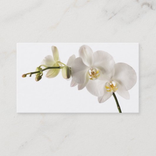 白いデンドロビウムの蘭の花のスプレーの花柄のブランク 名刺 (正面)
