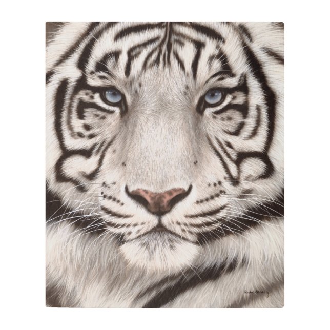 白いトラの絵画 メタルプリント (正面)