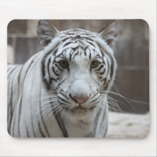 白いトラのmousepad マウスパッド