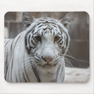 白いトラのmousepad マウスパッド
