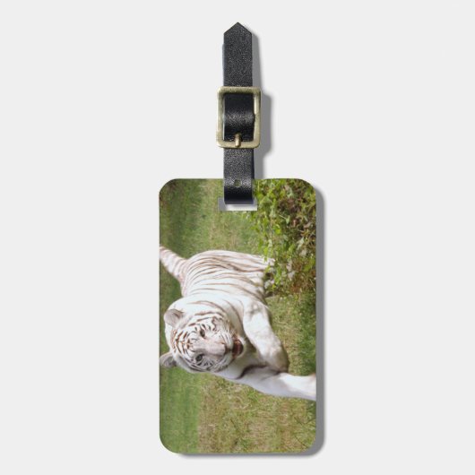 白いトラ3825e ラゲッジタグ (正面縦)