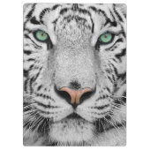 白いトラ クリップボード (裏面)